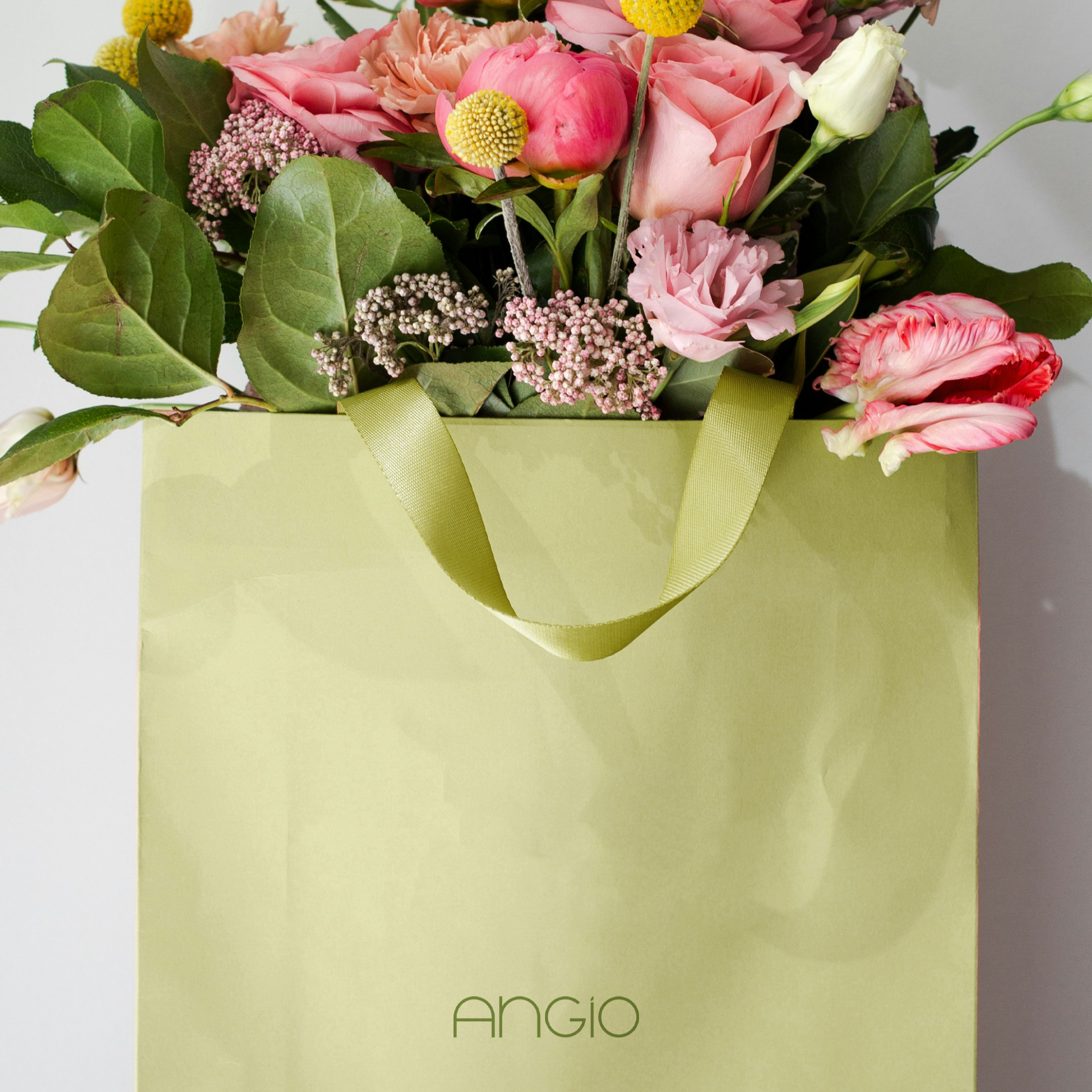 Angio Ateliê