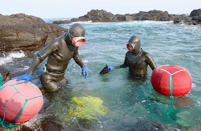 COLUMN ONE: Island women carry on diving tradition