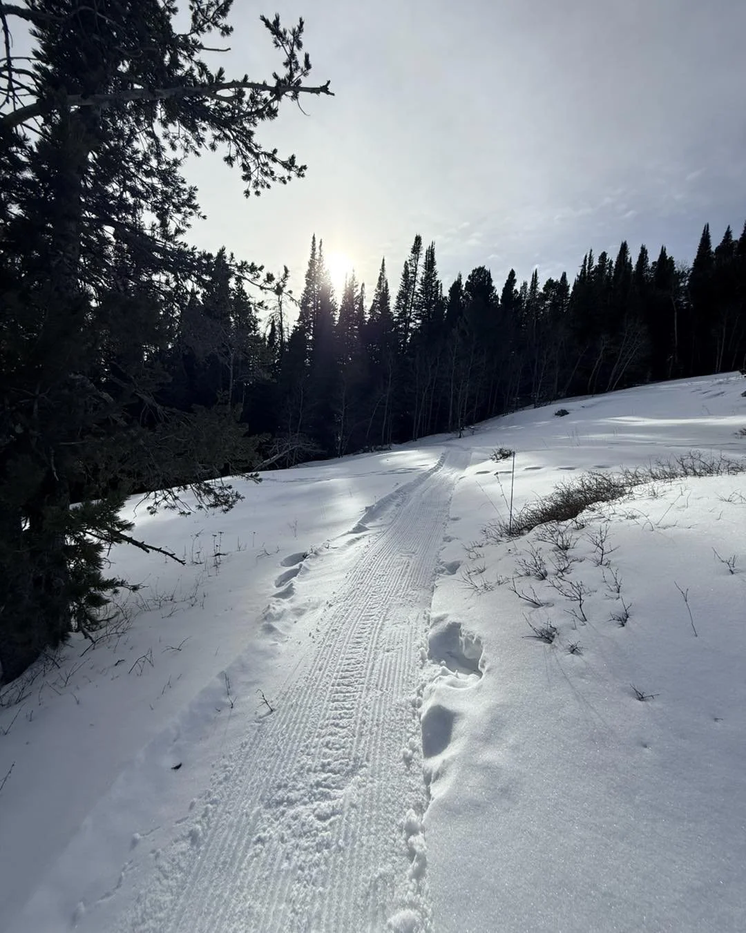 February 17, 2026: Looking Ahead to an Amazing Year! 