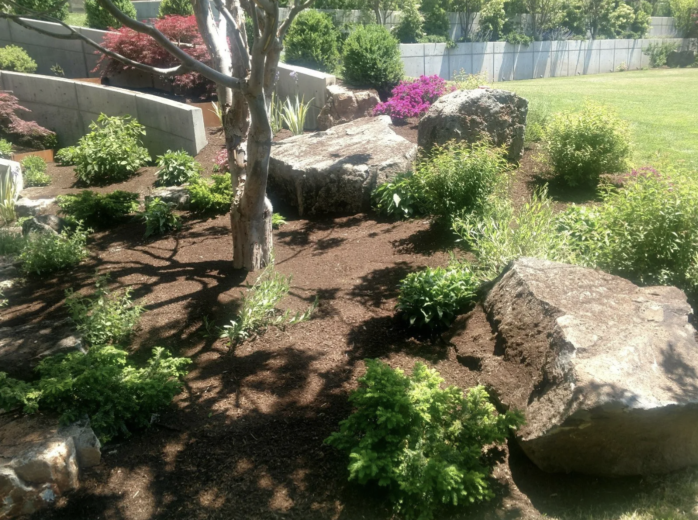 Screen Shot 2024-06-27 at 3.37.32 PM.png