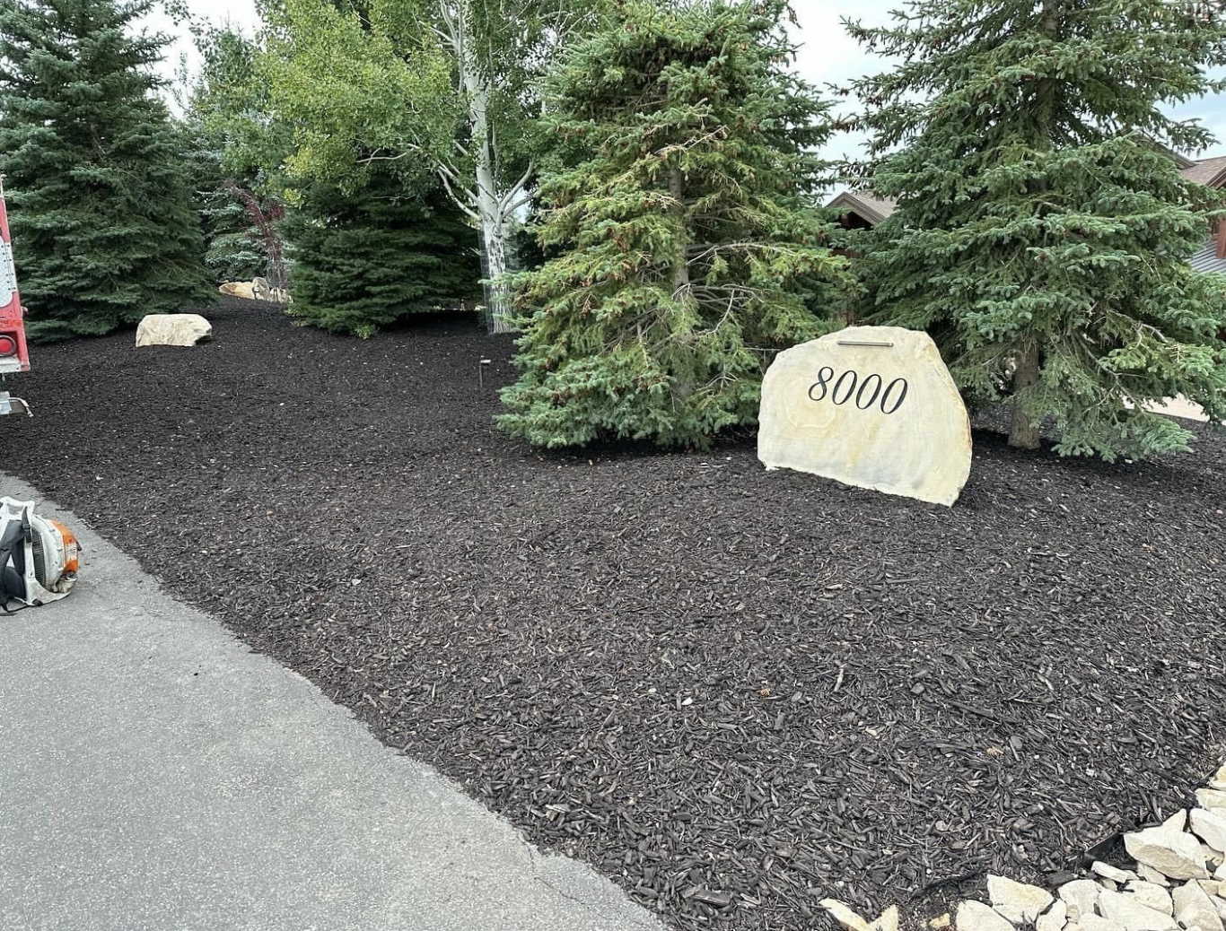 Screen Shot 2024-06-27 at 3.35.42 PM.png