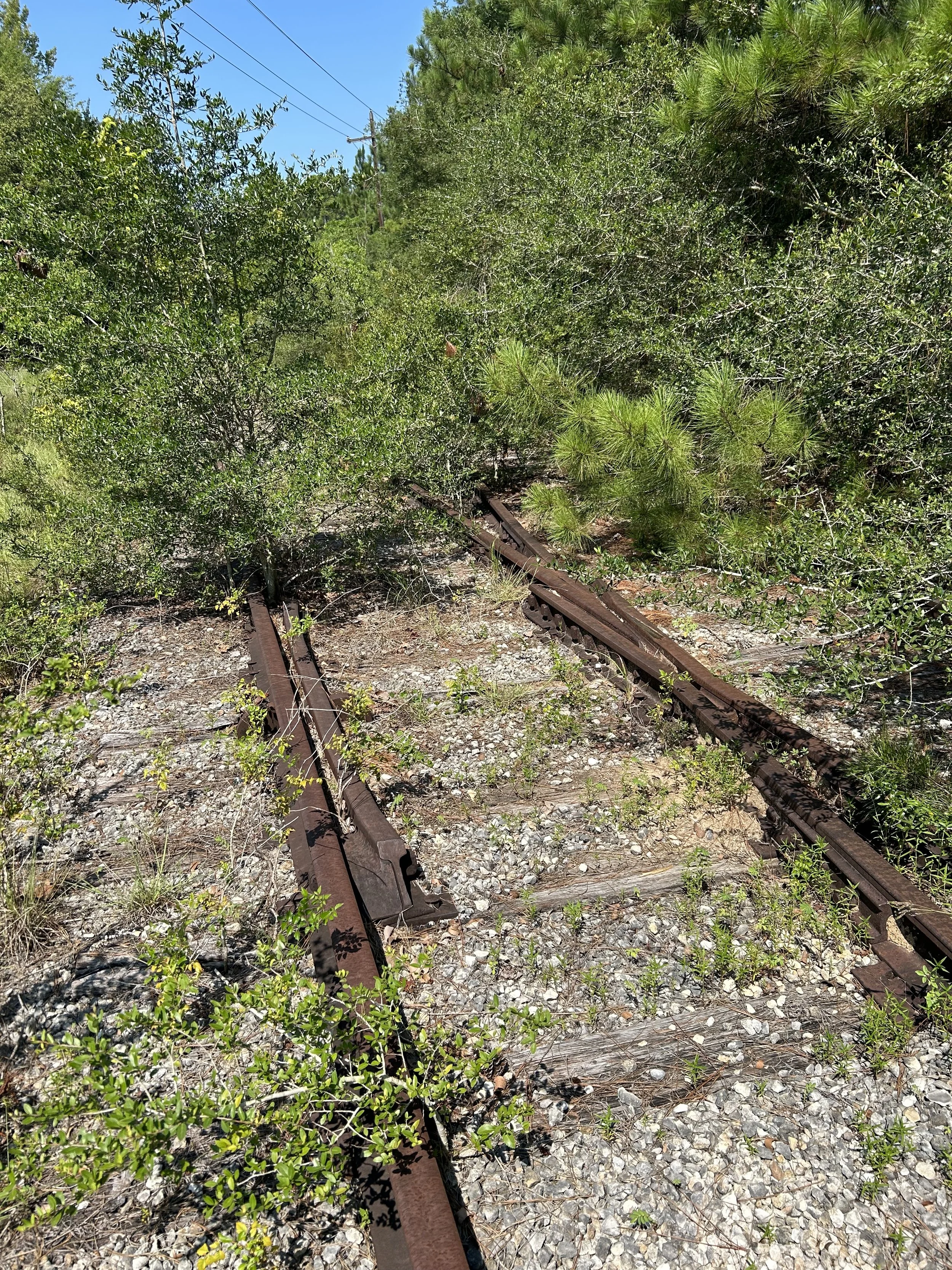 Track Rehab.jpg