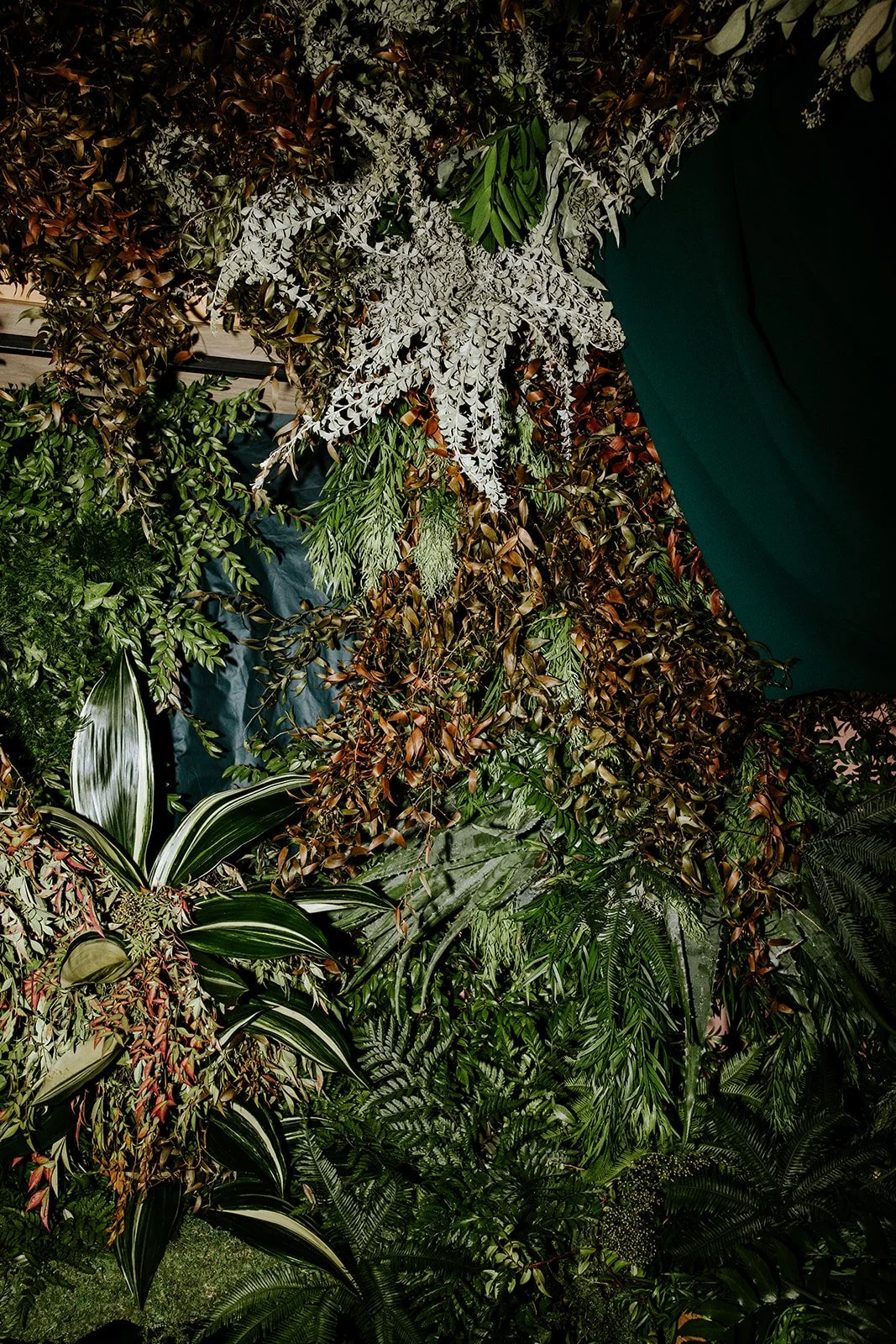 erinhannumphotography_ImmersionDetroit_24-225.jpg