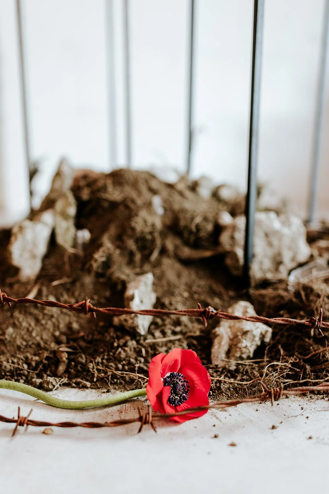 erinhannumphotography_ImmersionDetroit_24-49.jpg