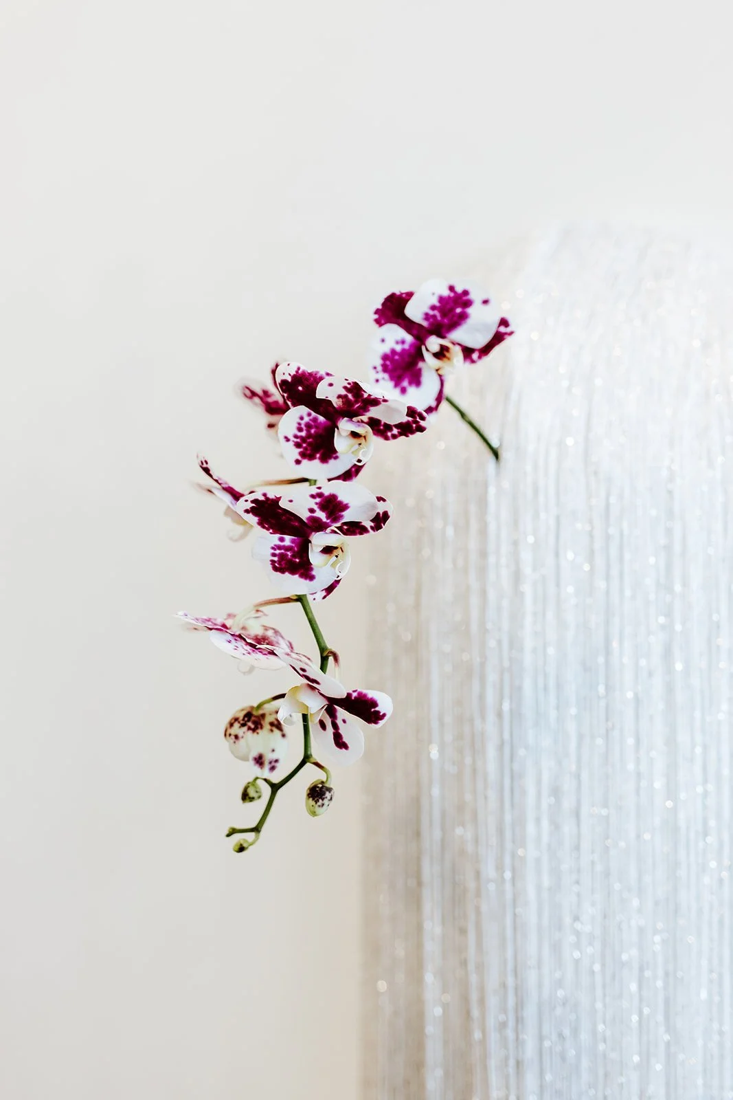 erinhannumphotography_immersiondetroit_25-129.jpg