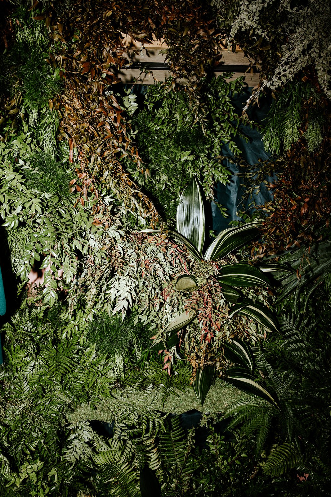 erinhannumphotography_ImmersionDetroit_24-226.jpg