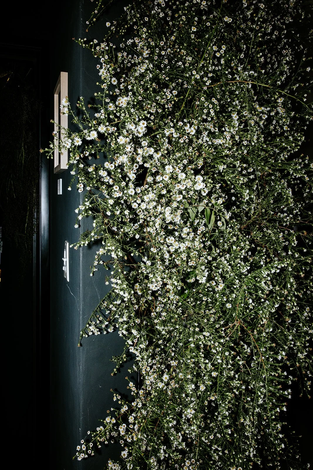 erinhannumphotography_ImmersionDetroit_24-172.jpg