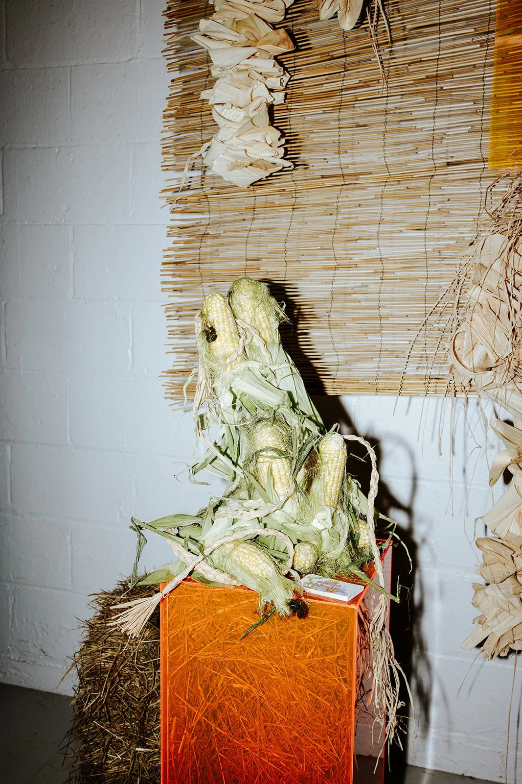 erinhannumphotography_ImmersionDetroit_24-143.jpg