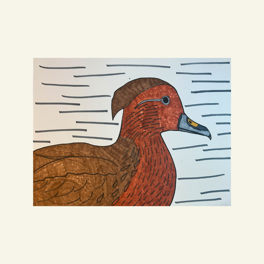 Duck by Lisa White