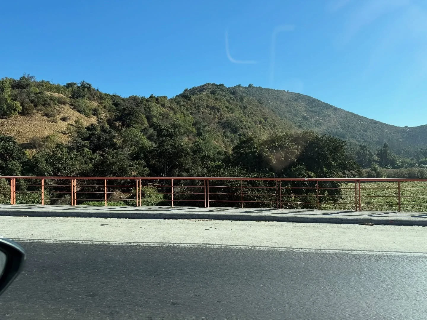 One of the coolest perks of my job is the travel, and today was no exception. To join the Cunard Queen Victoria, I had to drive through the Chilean countryside from Santiago to San Antonio. 

ABSOLUTELY GORGEOUS. Definitely reminds me of the Okanagan