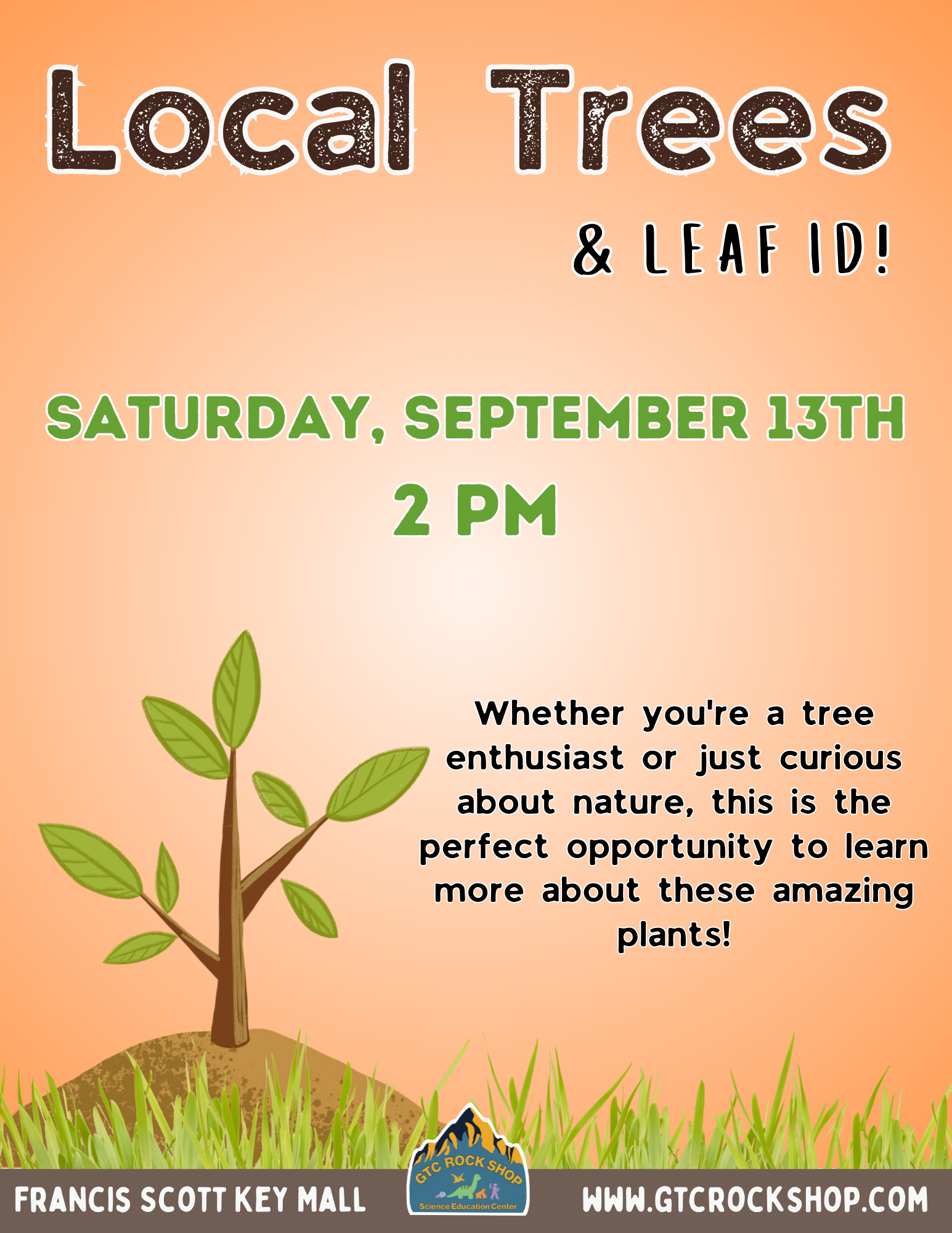 Local Trees and You