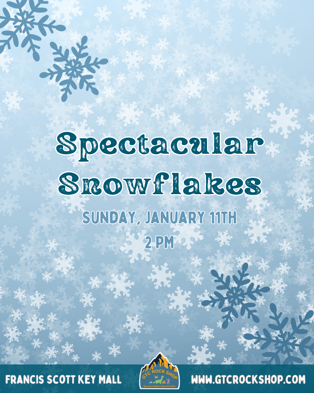Spectacular Snowflakes 