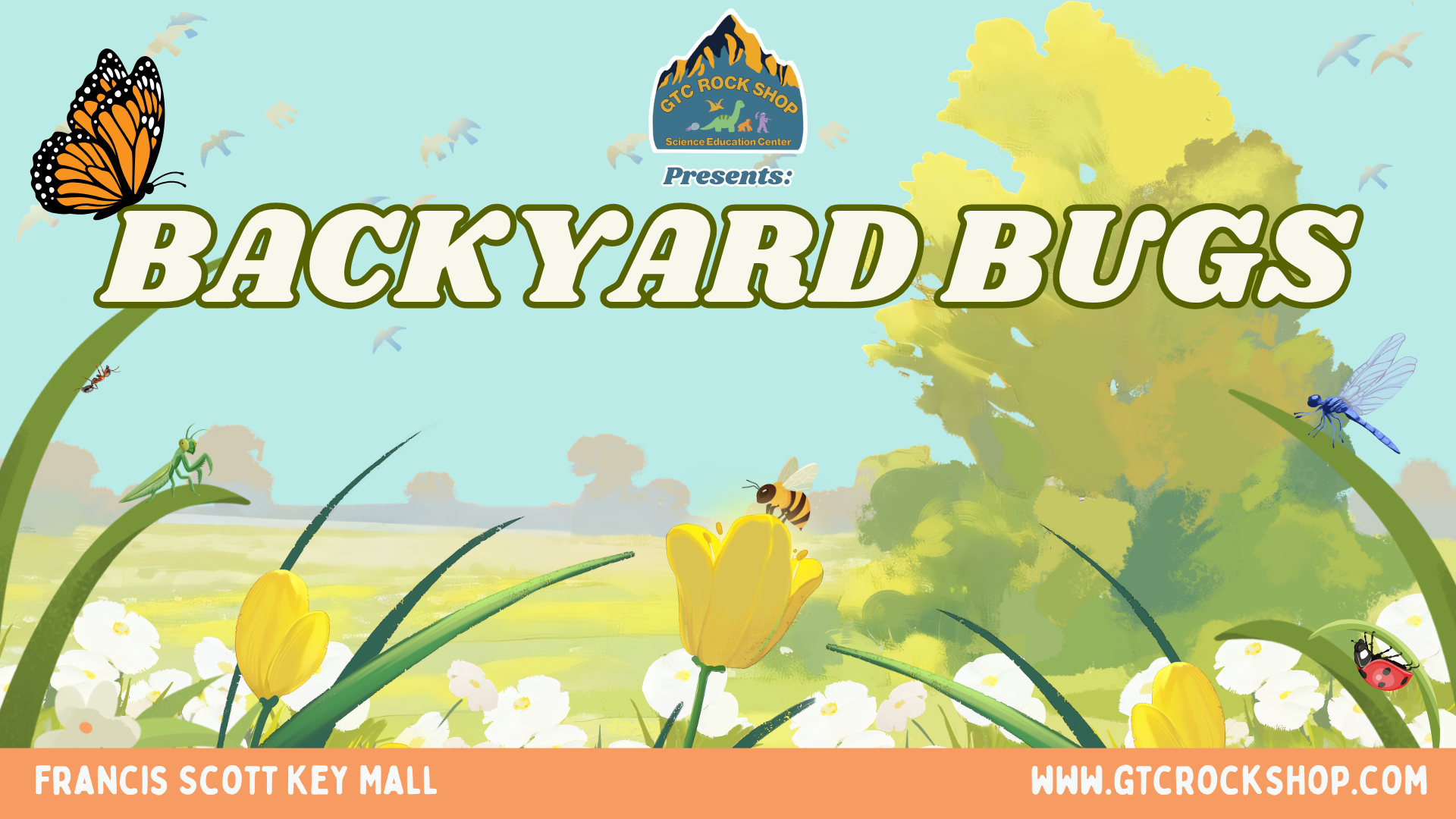 Backyard Bugs