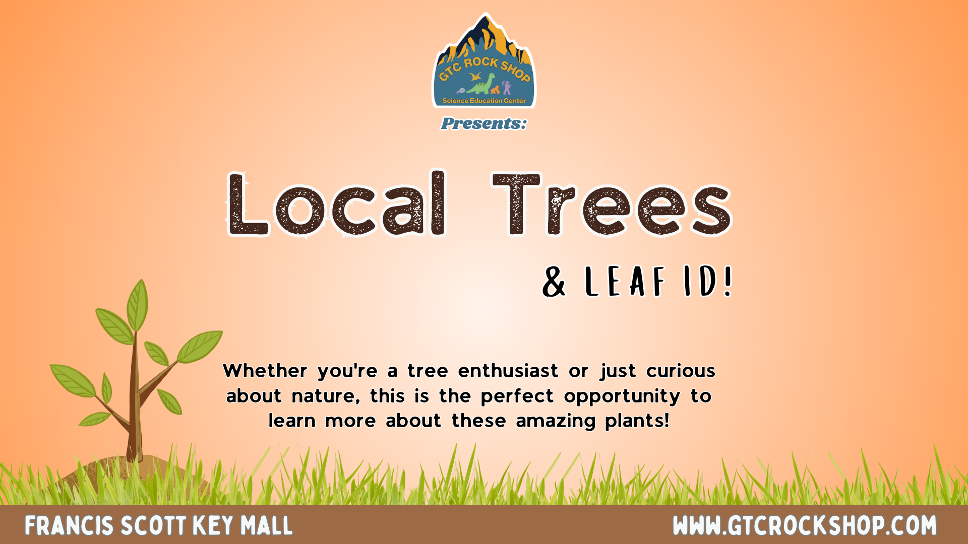 Meet Your Local Trees