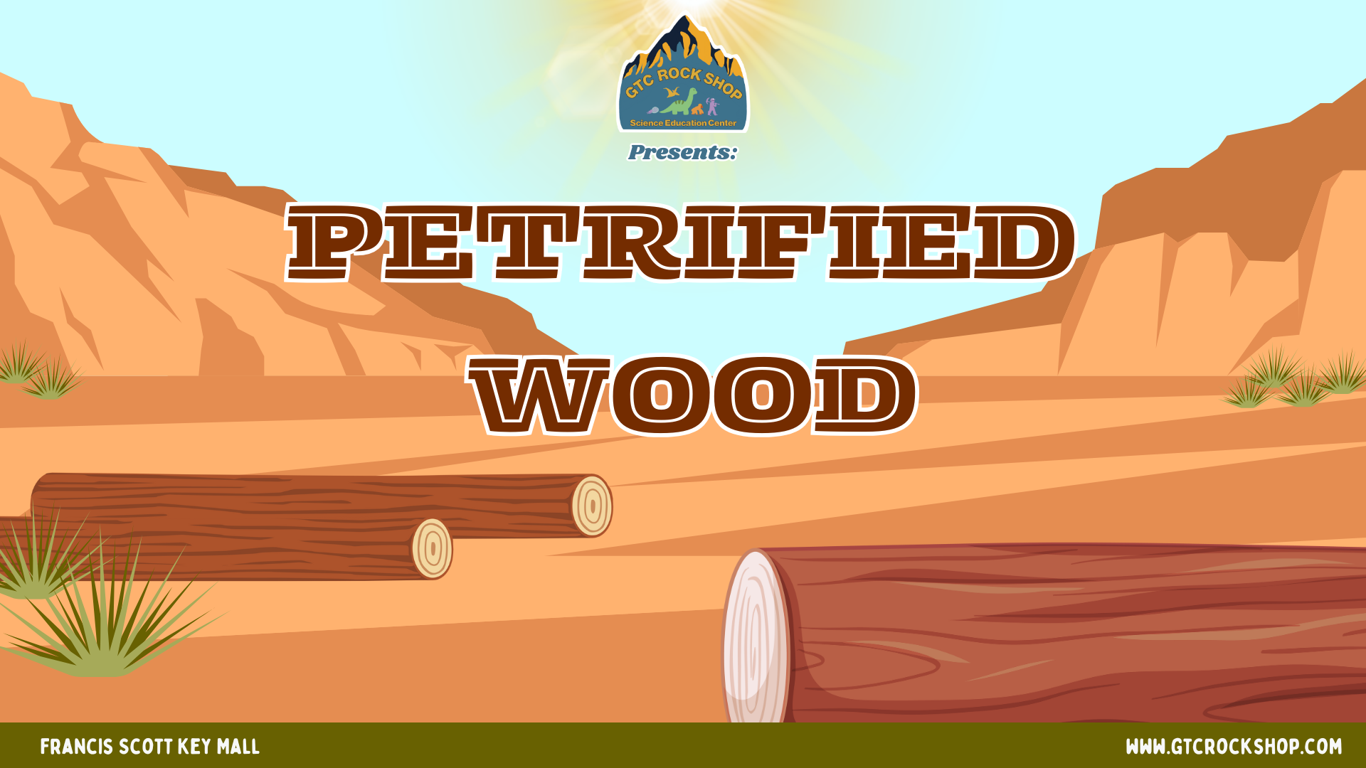 Petrified Wood