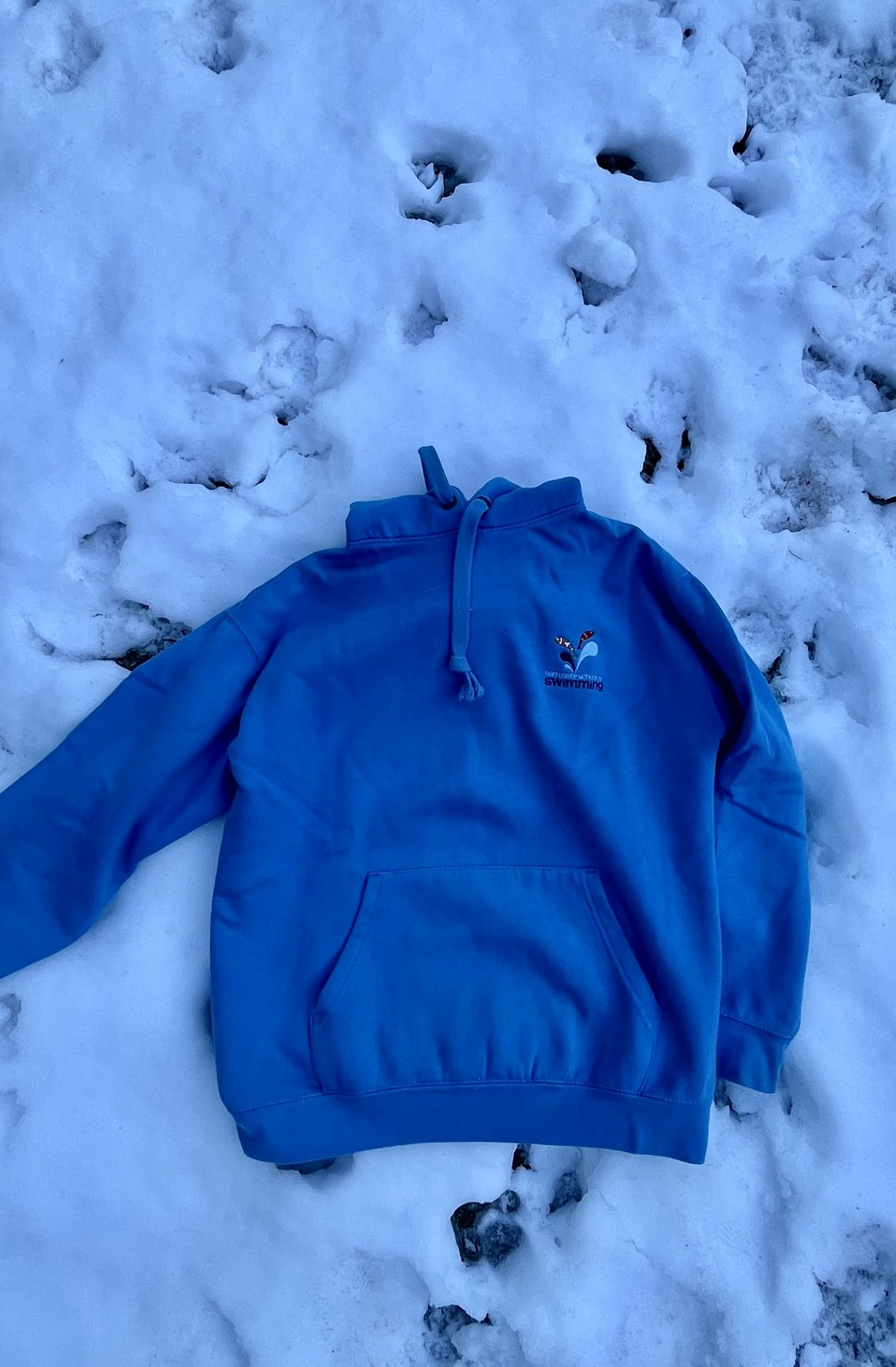 "New Year, New Splash: Harrogate School of Swimming Faces a Snowy Pause!"