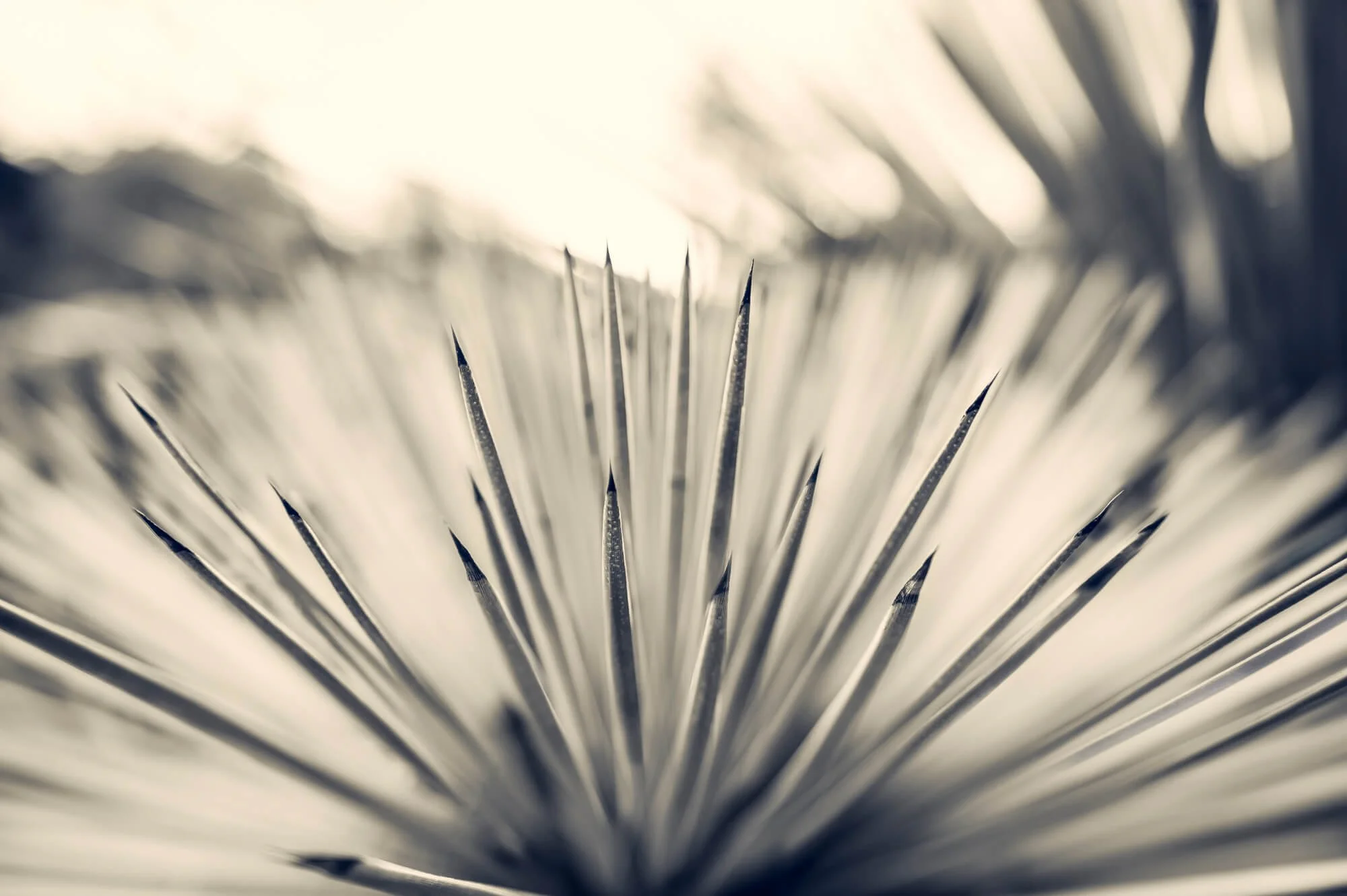 Close-up of the pointed ends of several pins or needles arranged in a circle, with the focus on the tips.