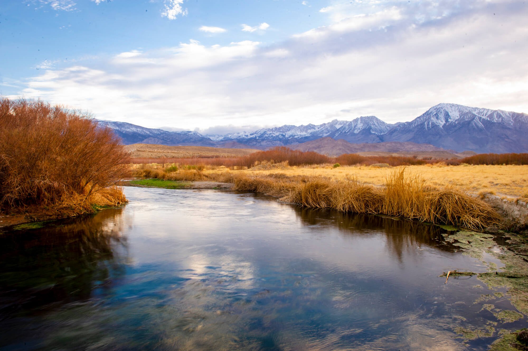 Owens River Landscape