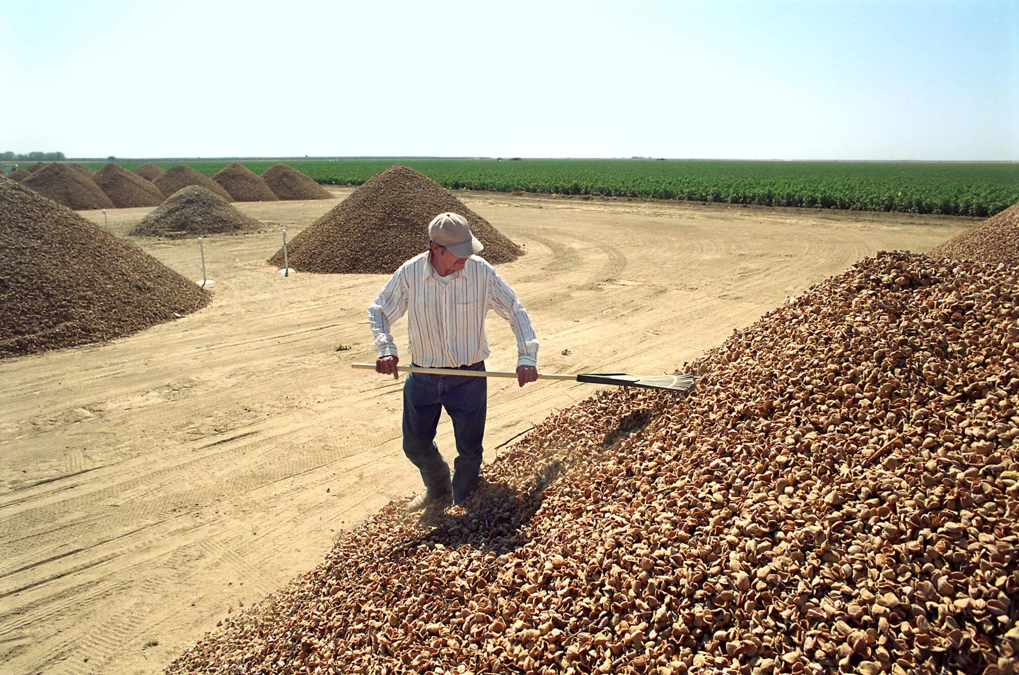Farm worker on a pile of almond husks in California's  Central Valley–Ed Carreon Photography