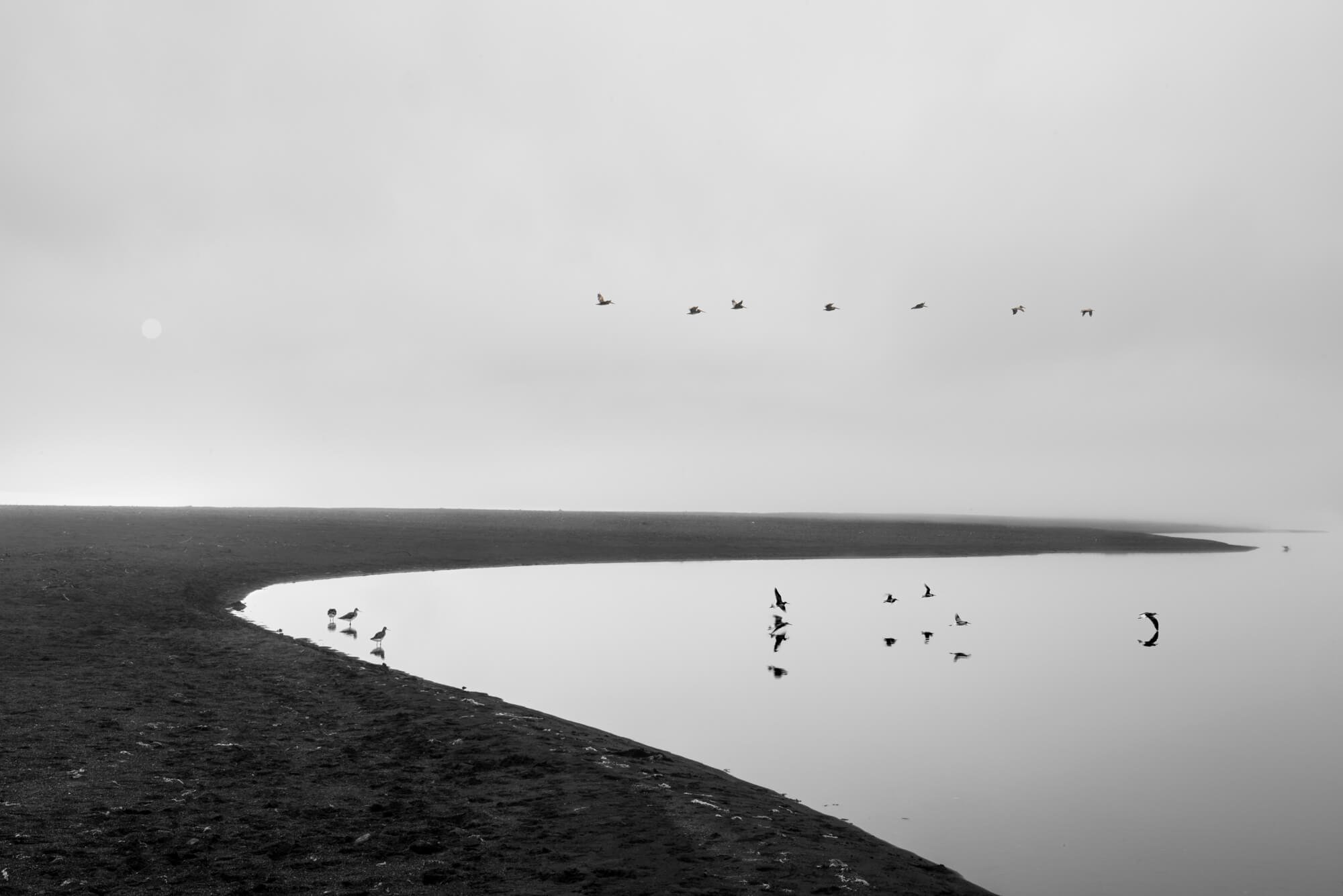 Oregon Landscape