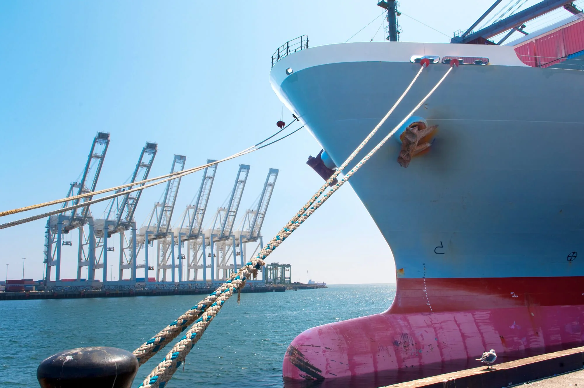 Ship-to-Shore (STS) cranes –behind cargo ship at the Port of Los Angeles-Ed Carreon Photography