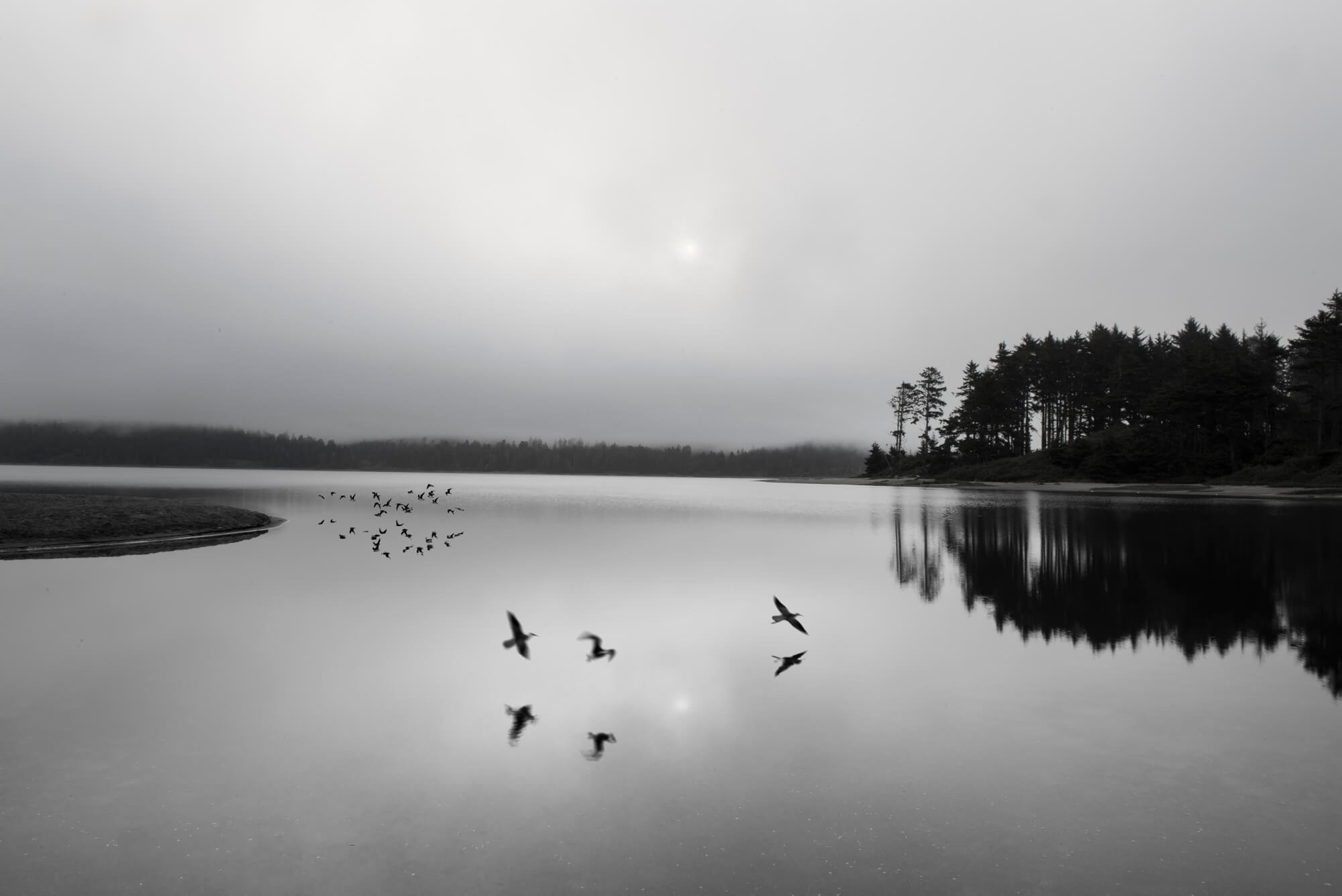 Humbolt Bay Landscape
