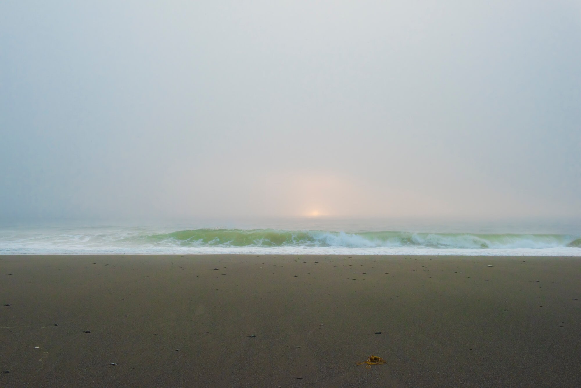 Oregon Beach Landscape