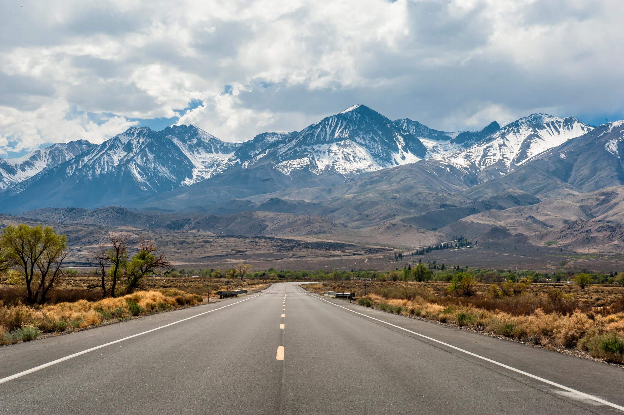 Bishop, CA Landscape