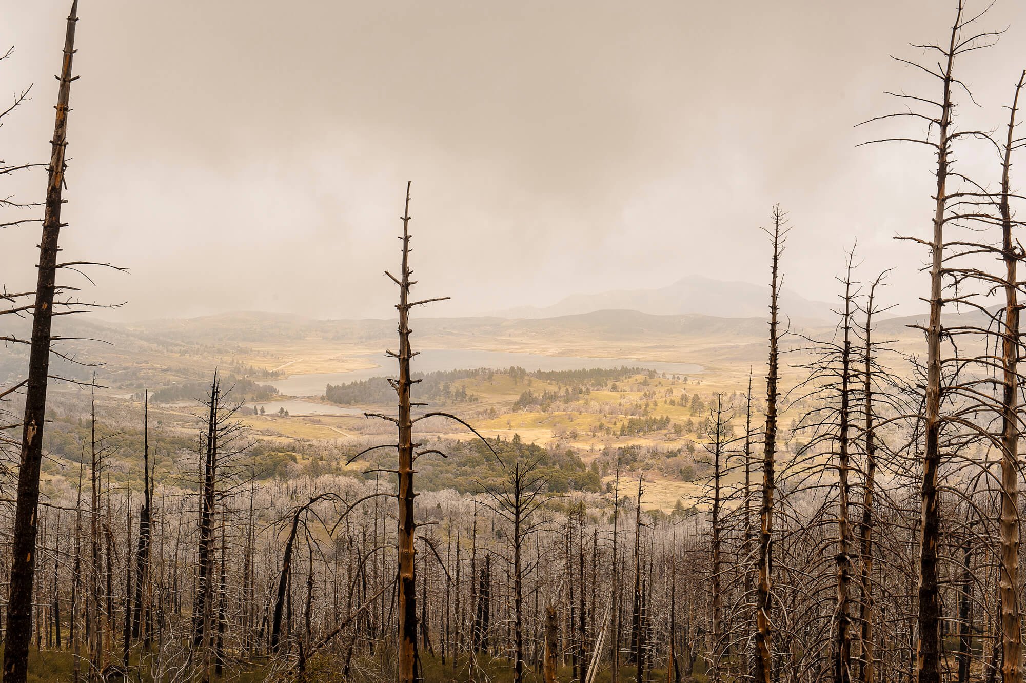 Cleveland National Forest Landscape
