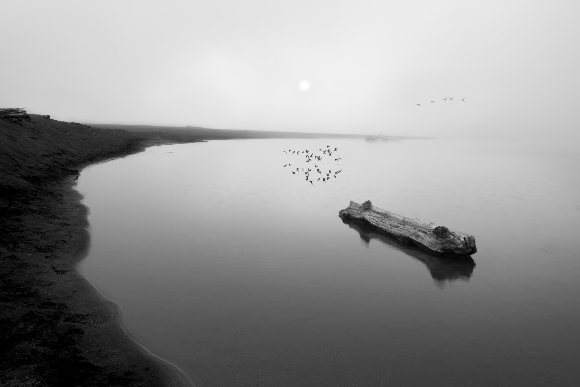 Oregon Beach Landscape