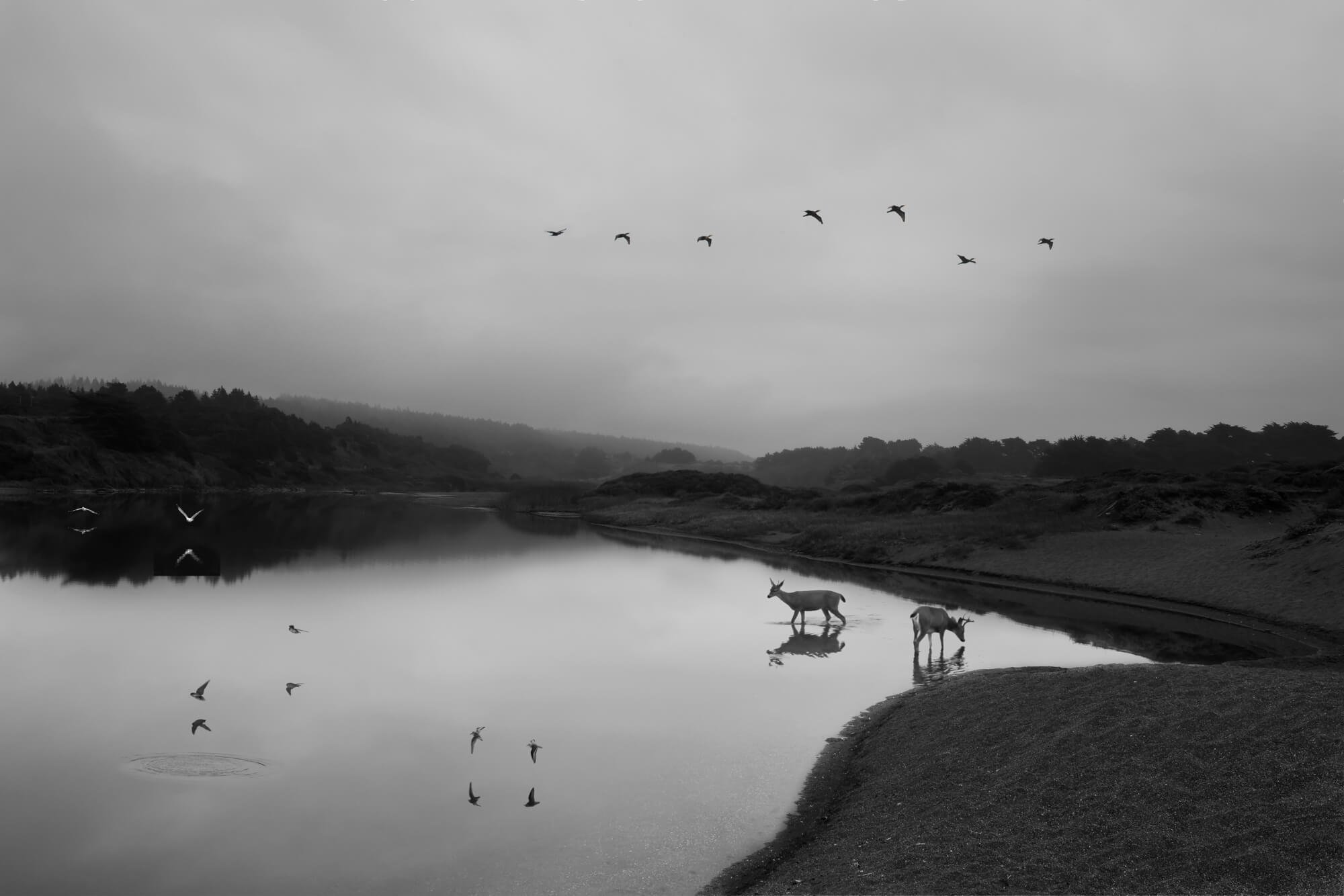 Gualala, CA