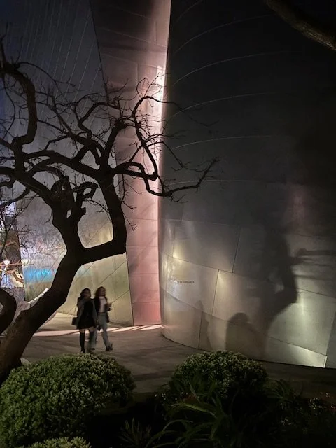 disney night 18-apr-2025.jpg