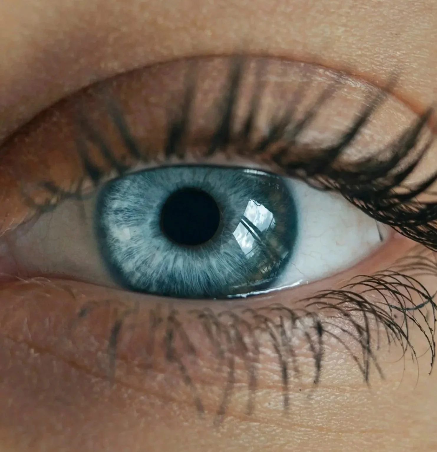 Close-up of an Expert Eye with long eyelashes, revealing intricate iris patterns and window reflections.
