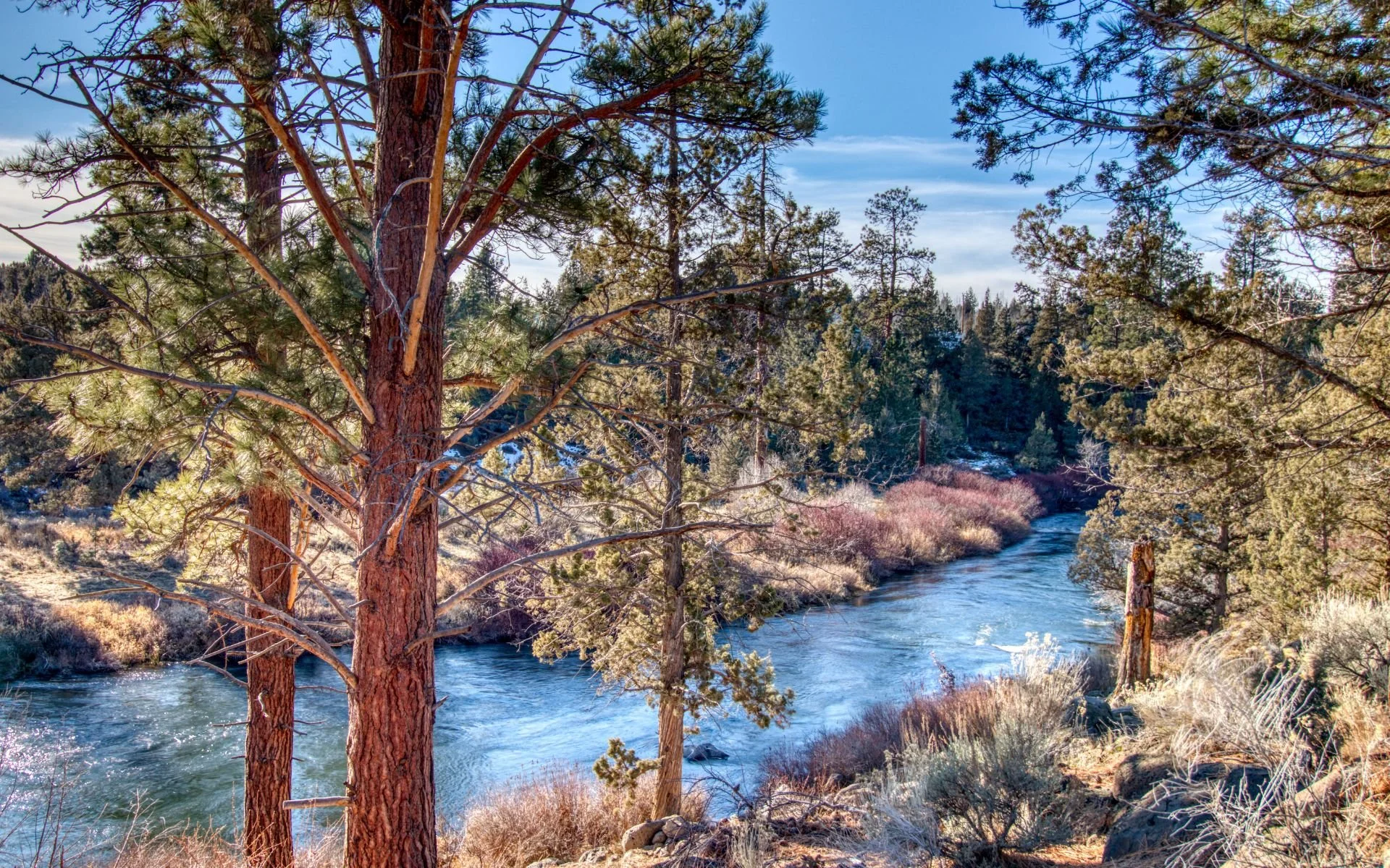 Roofing in Tumalo Oregon by Tin Shield Roofing
