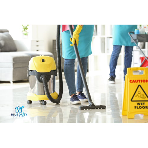 Blue Daisy Cleaning Services | House Cleaning Services Charlotte NC