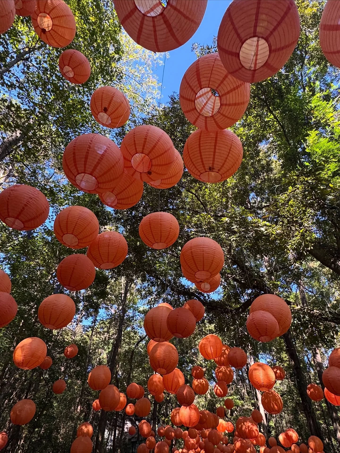 A little bit of fall 🎃🍂🧡

#family❤️ #fall #fallvibes #autumn #fallactivities #momlife #refillingmycup