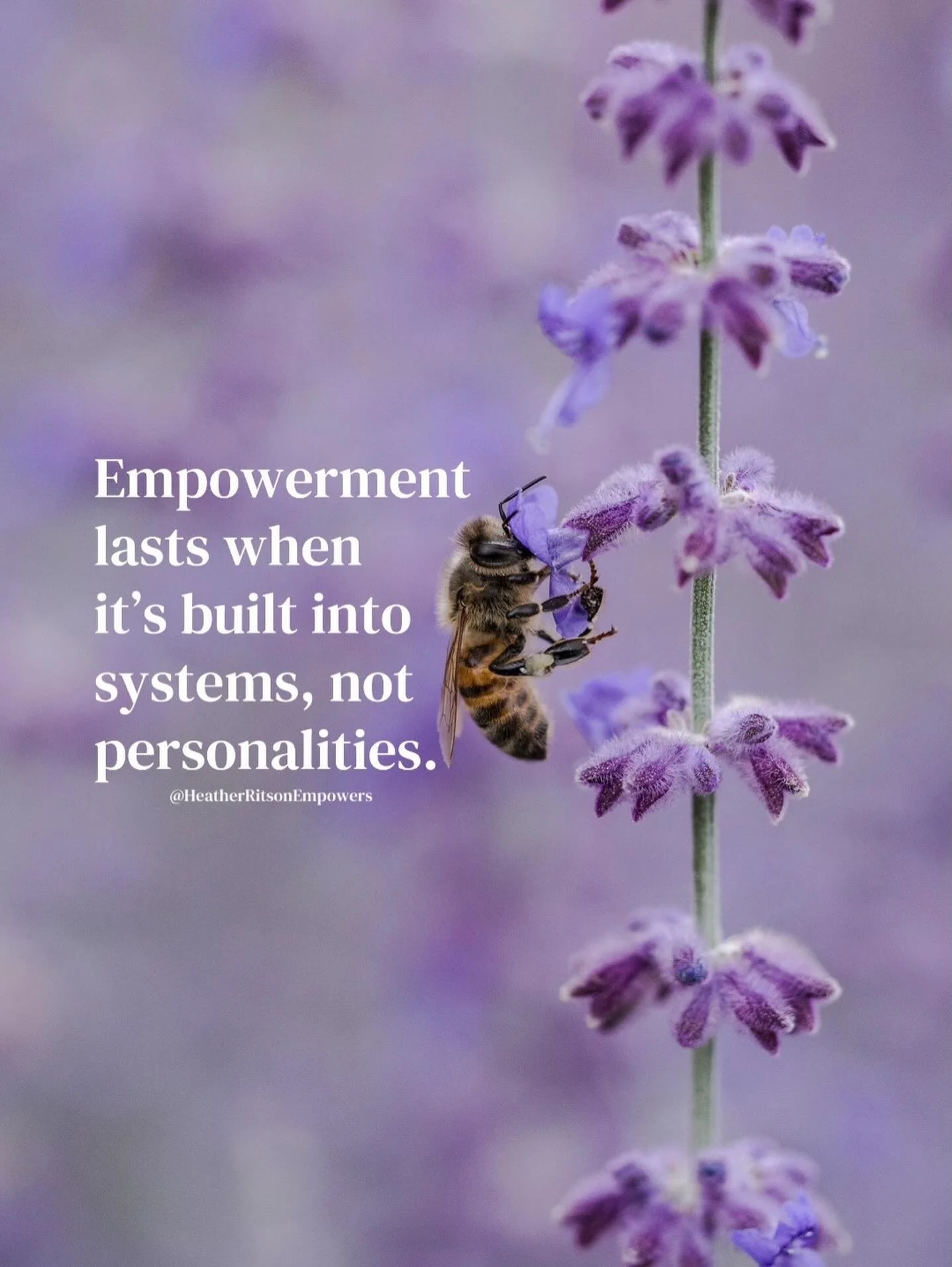 Bees tirelessly fly around, gathering pollen and nectar, and bringing it all back to the hive 🐝. Once there, other worker bees transform that pollen into delicious honey.

It&rsquo;s interesting to think about how each bee focuses on its task withou