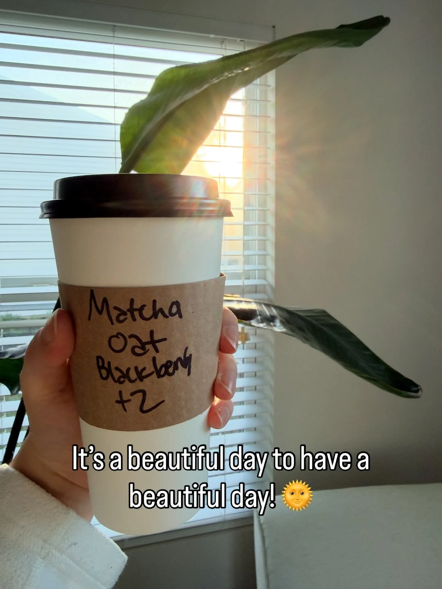 Hope you have a beautiful day, friends ✨