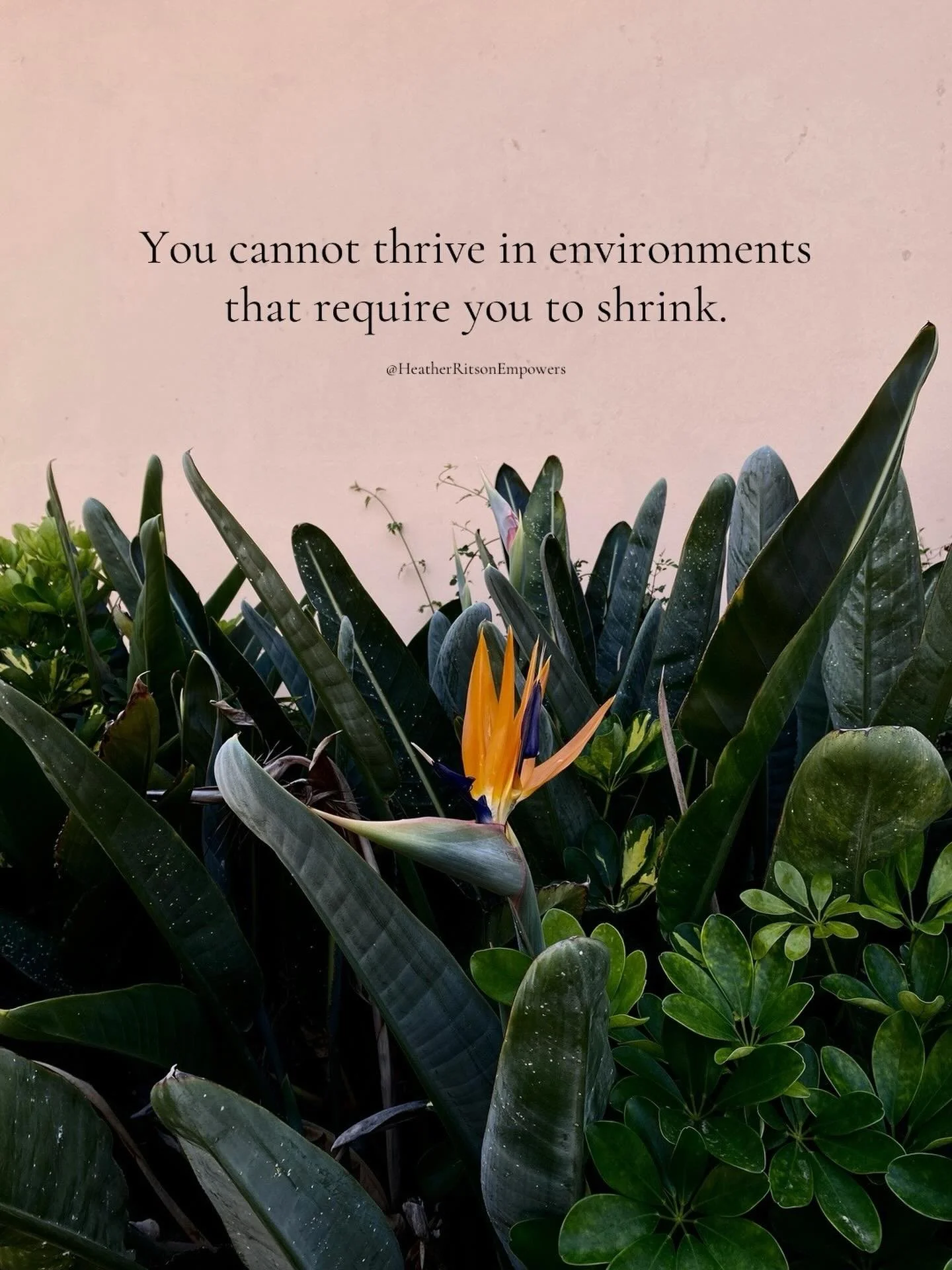 &ldquo;Sit down.&rdquo;

&ldquo;Be quiet.&rdquo;

&ldquo;Don&rsquo;t share.&rdquo;

&ldquo;You don&rsquo;t know what you&rsquo;re talking about.&rdquo;

&ldquo;You&rsquo;re wrong.&rdquo;

&ldquo;Why are you talking?&rdquo;

These are meant to make so
