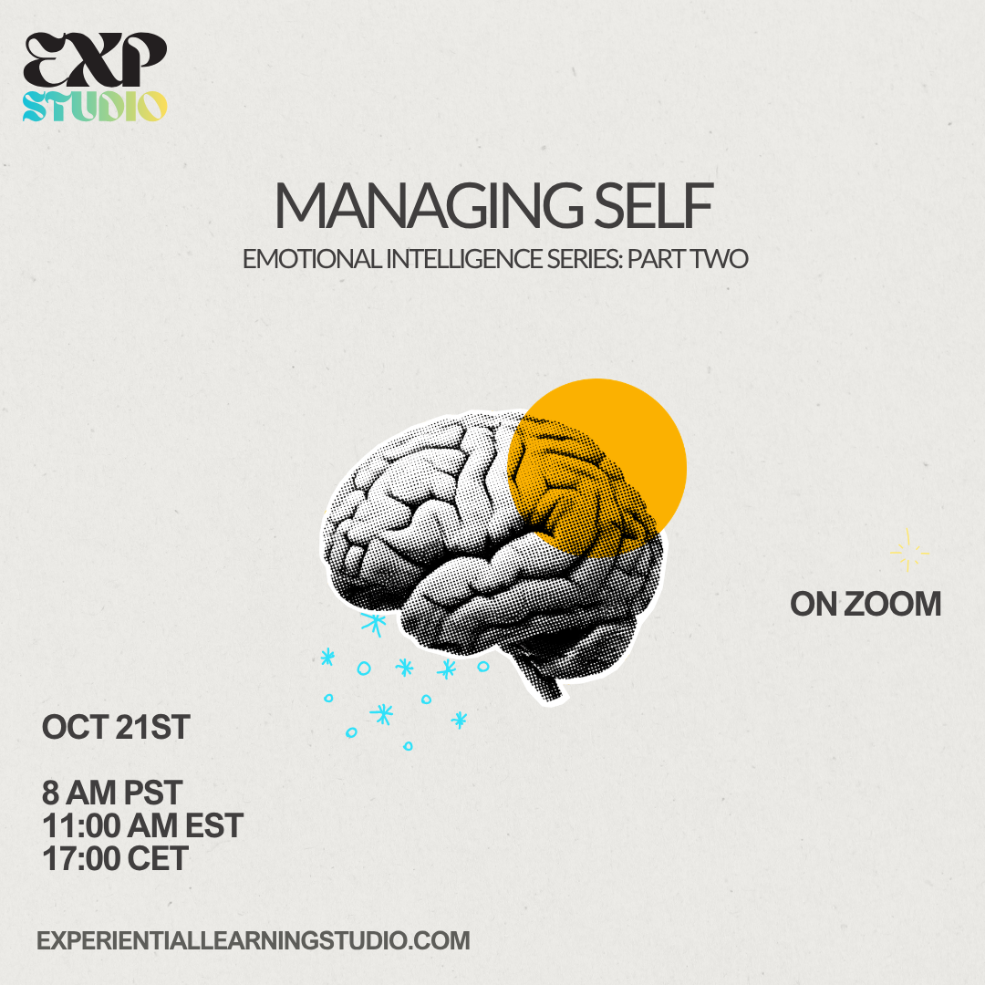 EI Series Part II: Working with Self