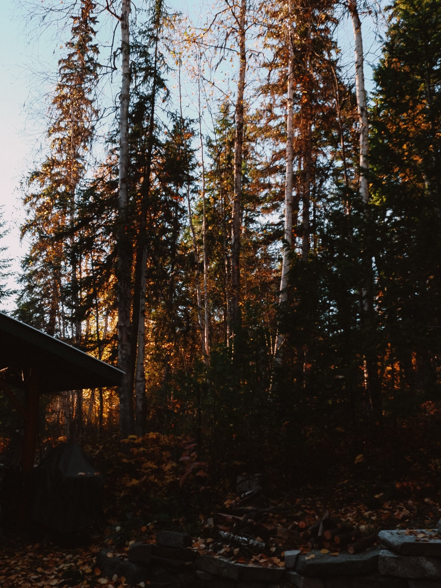 🍂