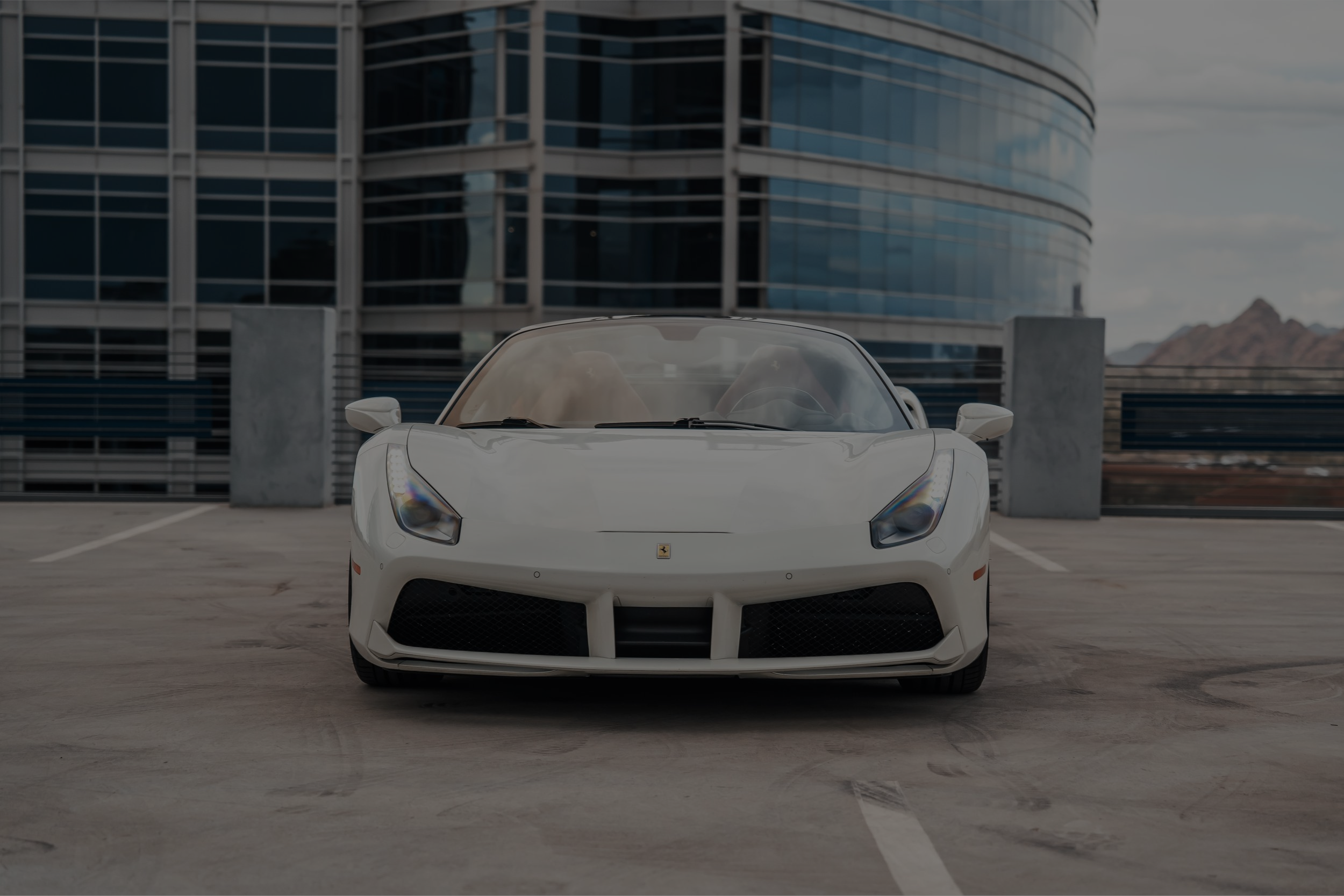 Car Rental Business in Phoenix, Arizona