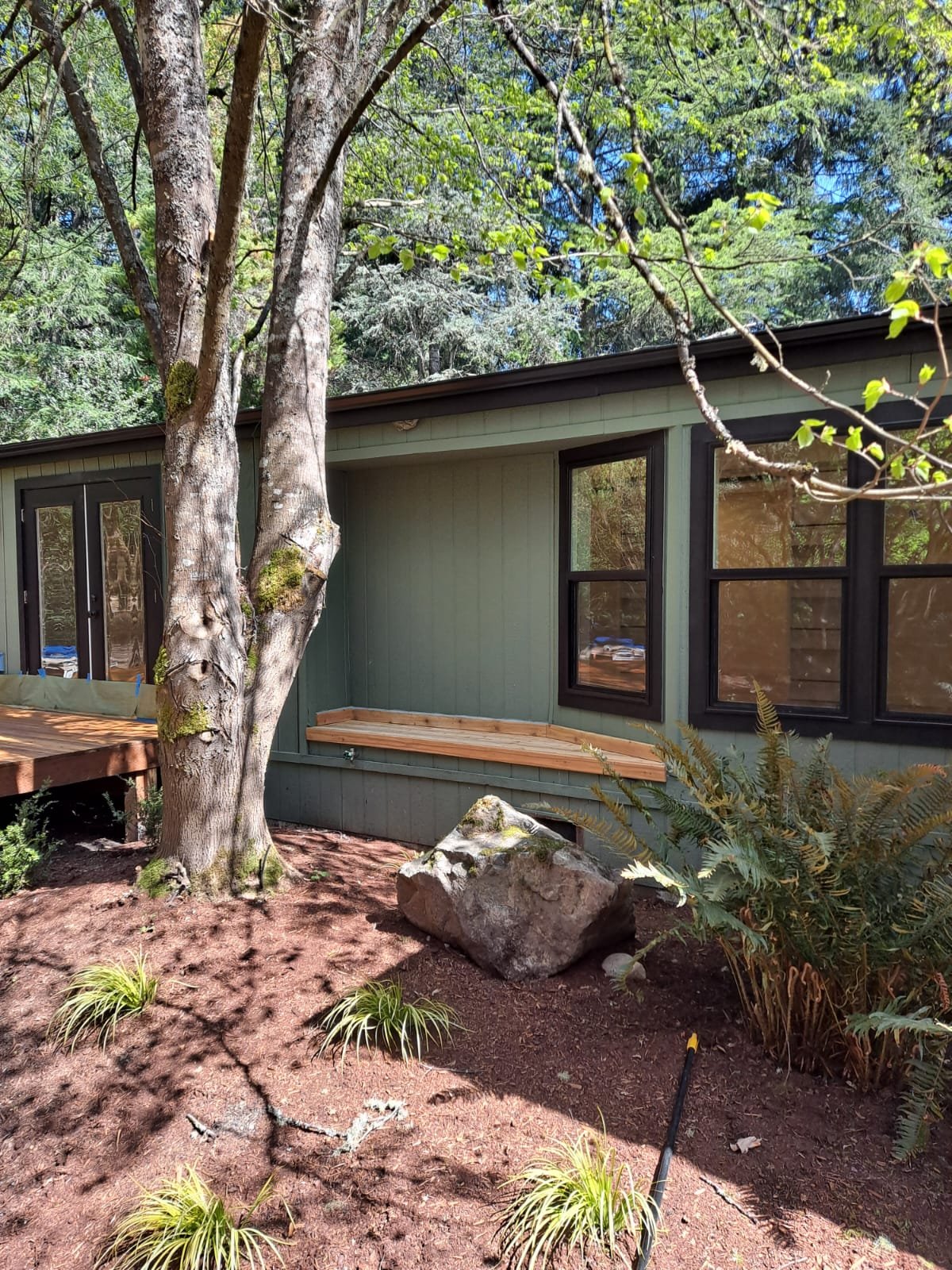 A backyard scene shows a green house exterior with black window frames, a wooden bench along the wall, and a large rock on bare soil. There are multiple trees and plants, with sunlight filtering through the leaves.
