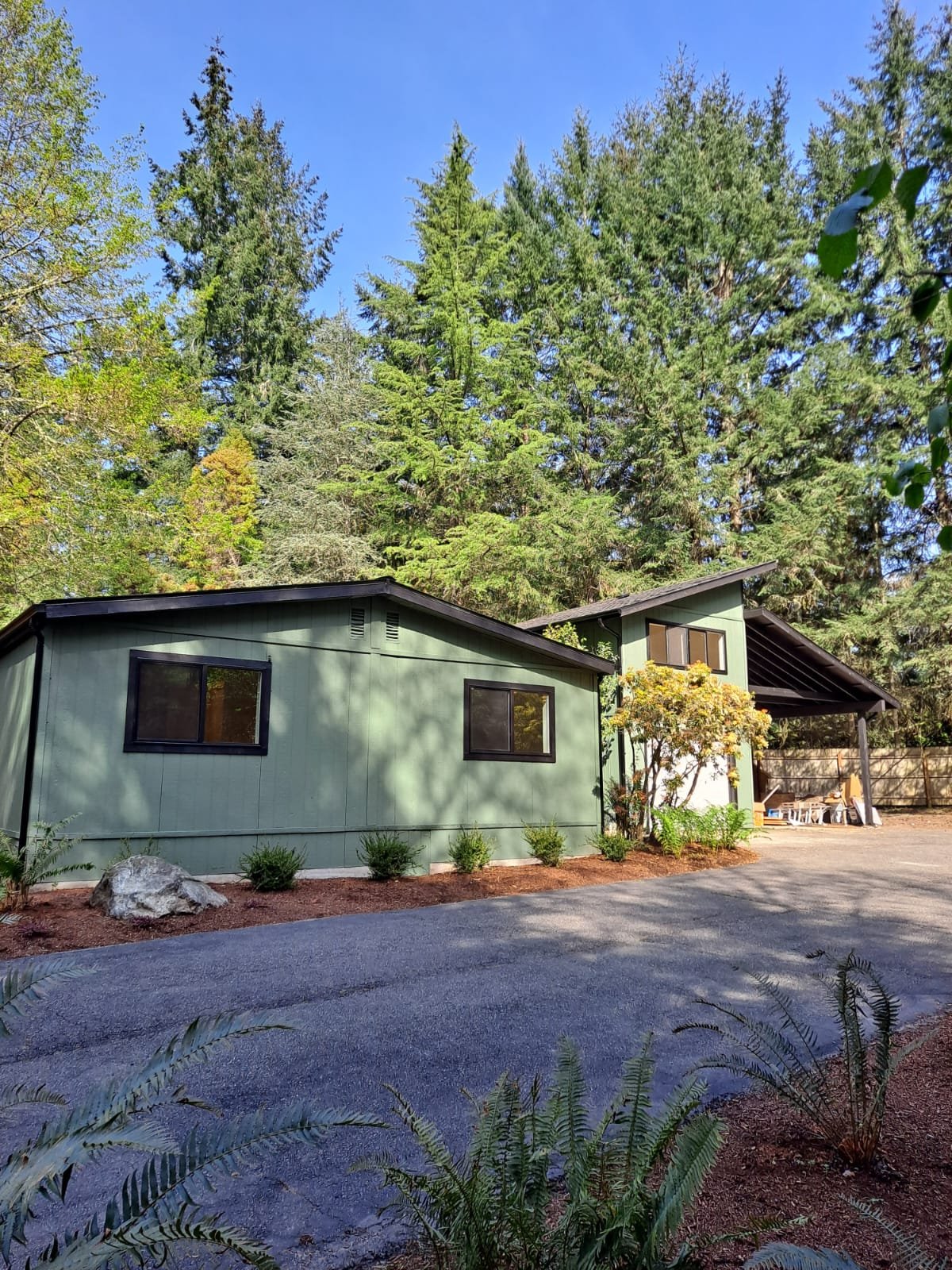 A green modern house with dark window frames, surrounded by tall trees and lush plants, under a clear blue sky.