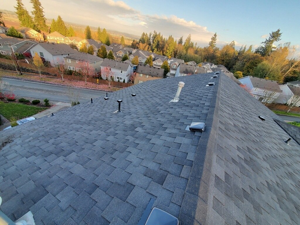 View of a residential neighborhood with a focus on a house's shingled roof and vent pipes, chimneys, surrounded by trees and other houses under a partly cloudy sky.