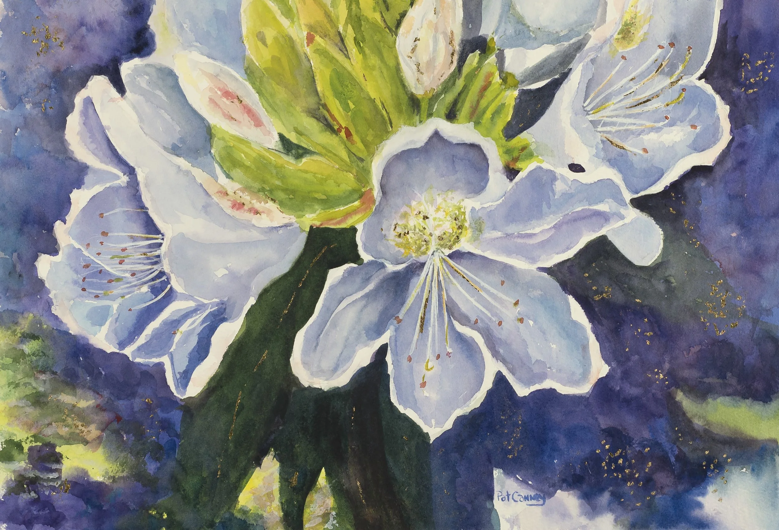 Shimmer-24x16-$350