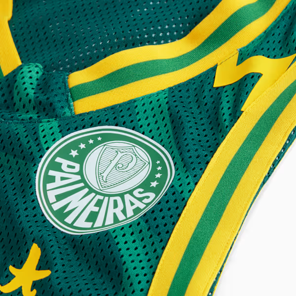 PUMA-HOOPS-x-SE-PALMEIRAS-Basketball-Jersey-Men (5).png