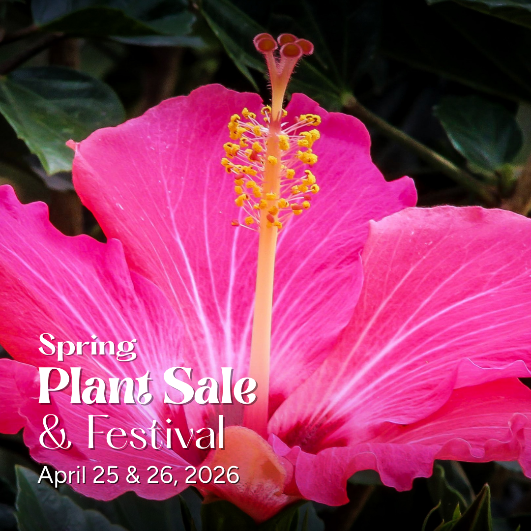 Mount's Botanical Flower Sale Singing