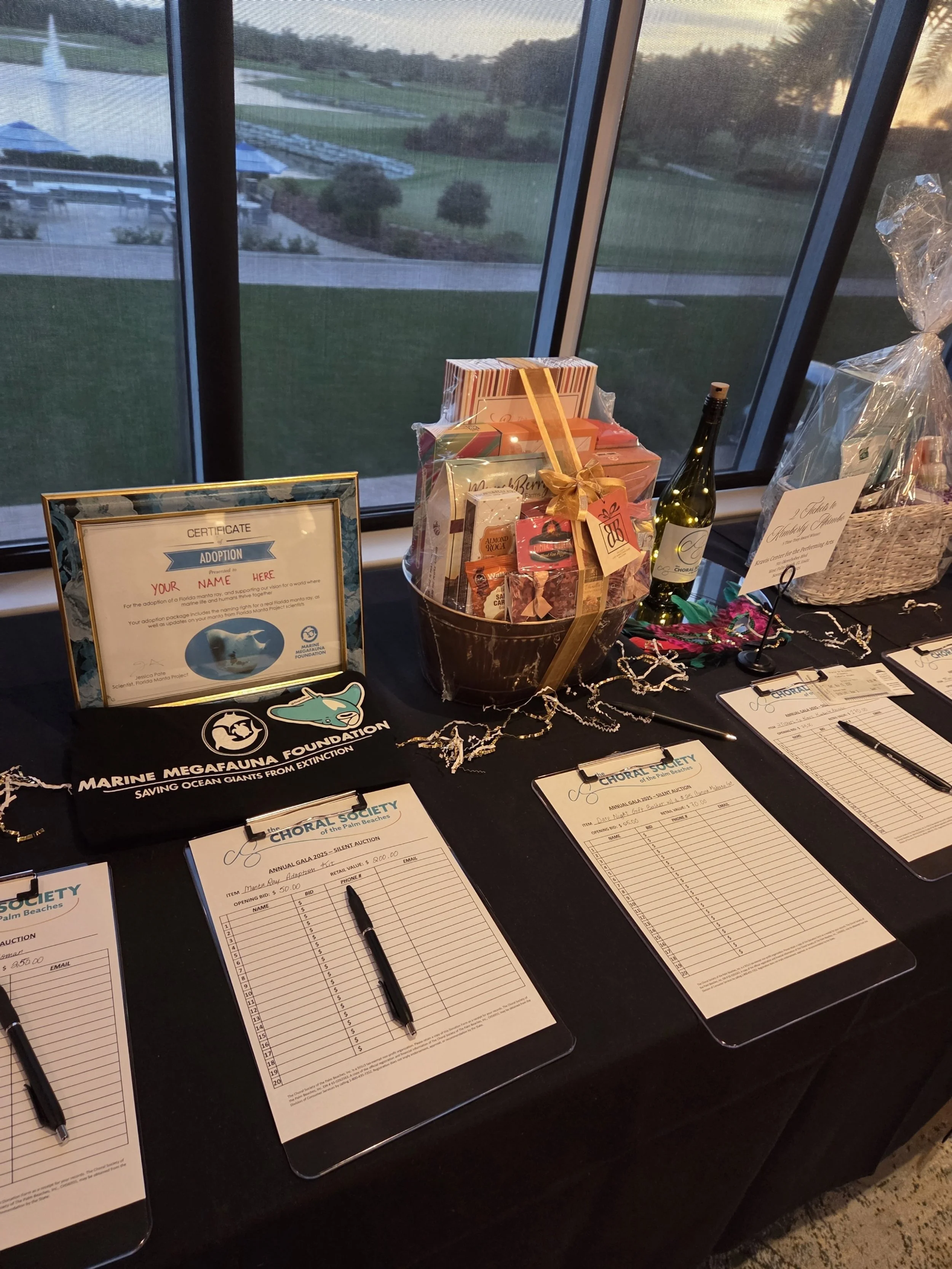 Silent Auction Items #9