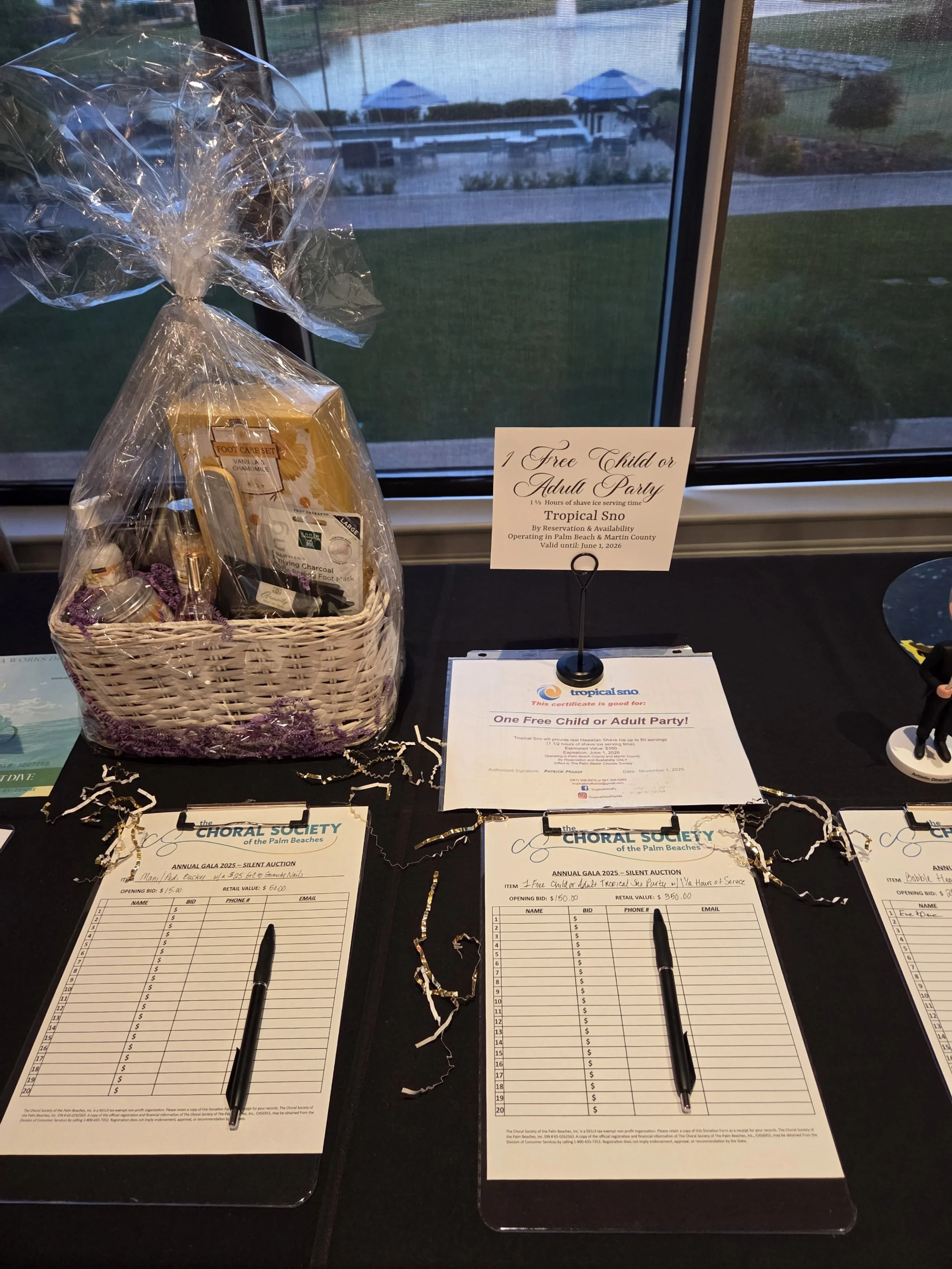 Silent Auction Items #6